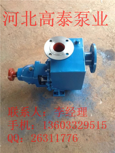 IH65-40-315河北化工泵