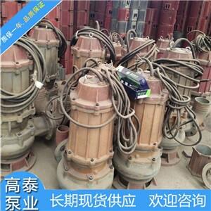 長(zhǎng)期供應(yīng)優(yōu)質(zhì)-200WQ250-40-553KW高揚(yáng)程化糞池排污泵