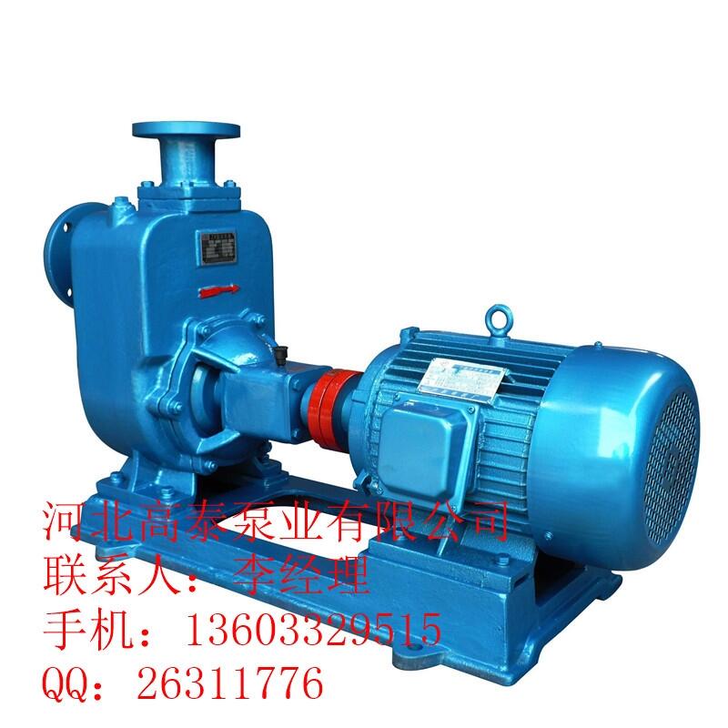 ZW100-100-20河北排污水泵 ZW自吸排污泵批發(fā)